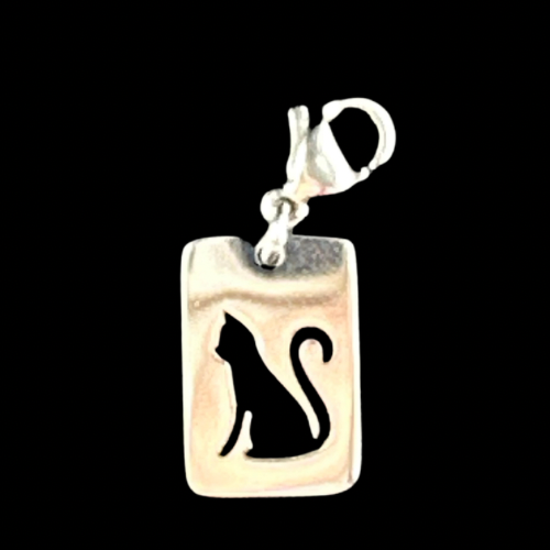 Witches Familiar Charm