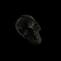 Crystal Carved Skull Black Obsidian