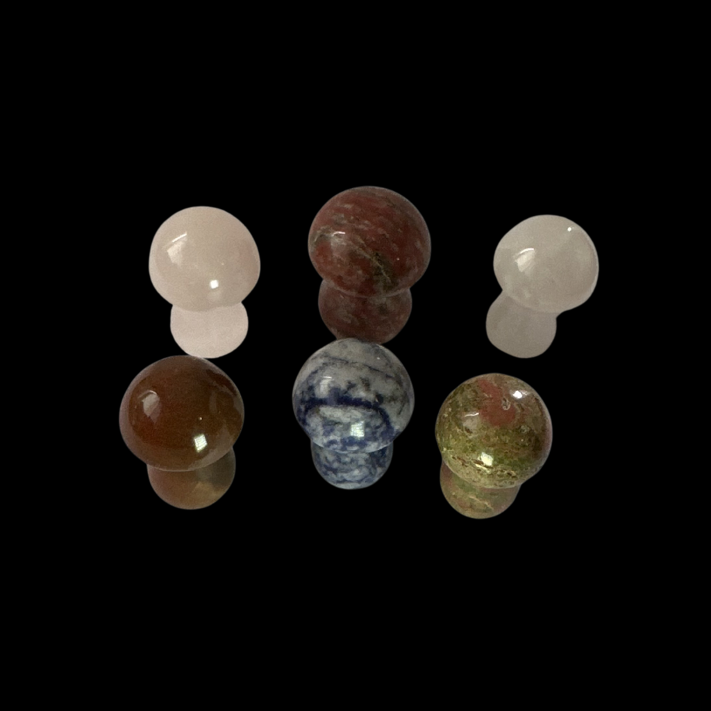 Set of assorted crystal mushrooms on a black background