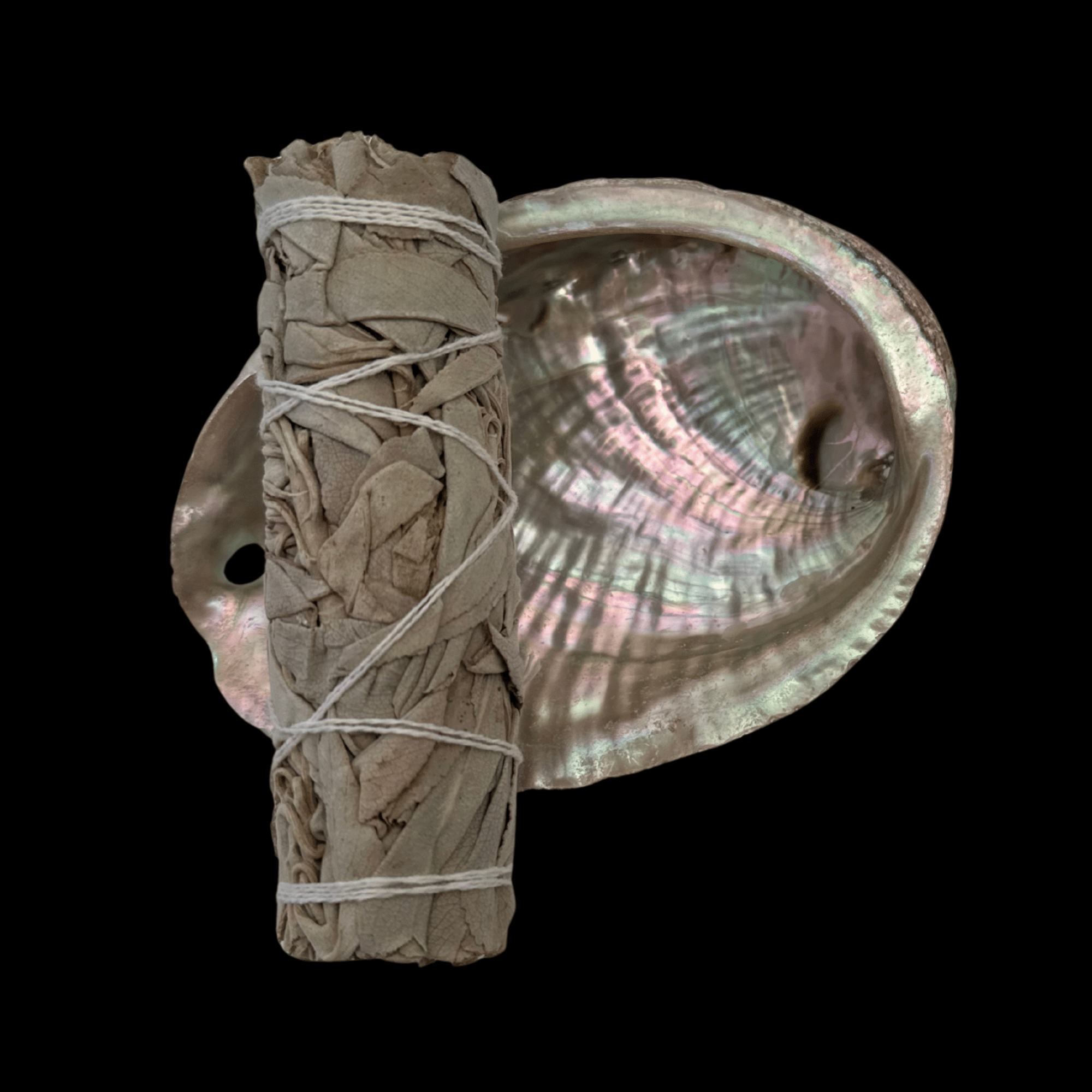 Sage Smudge Kit by Darkness Within: wrapped sage bundle beside an iridescent shell.
