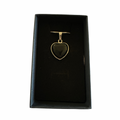 Black Onyx Pendant with gold bezel in a black display box on a silver chain.