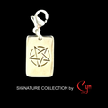 Silver stainless steel rectangular tag featuring a cut out design of a inverted pentagram, with a lobster clasp.   on a black background, featuring 'Signature Collection by Cyn'.