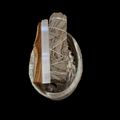 Sage smudge kit bundle tied with string in a metal bowl, with a selenite wand and wooden stick.