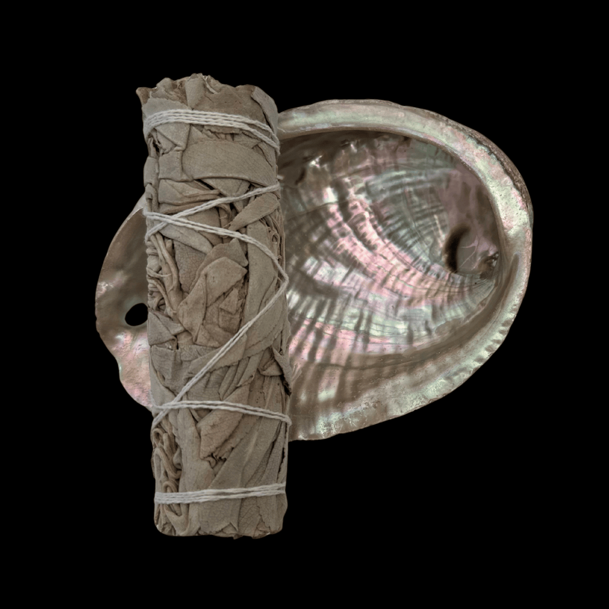 Sage Smudge Kit by Darkness Within: wrapped sage bundle beside an iridescent shell.